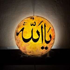 Wall Plate Camel Skin Lamp